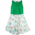 thumbnail image 2 of Girls Dress Turn-Down Collar Flower Chiffon Party Green 10 Years, 2 of 4