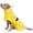 Yellow, variant on MAMORE Waterproof Dog Raincoat with Reflective Strip Leash Hole, Adjustable Lightweight Pet Rain Jacket for Outdoor Walking(Yellow,M)