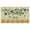 Four Leaf Clover, variant on Four Leaf Clover Lucky Door Mat,Non Slip Durable Rugs Friendly Floor Door Mats for Indoor Outdoor Bathroom