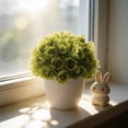 thumbnail image 4 of Miniature Bonsai Tree for Home Desk and Living Room Interior, 4 of 5