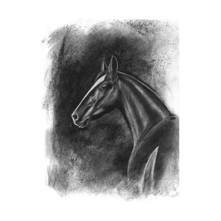 Charcoal Equestrian Portrait II Print Wall Art By Naomi