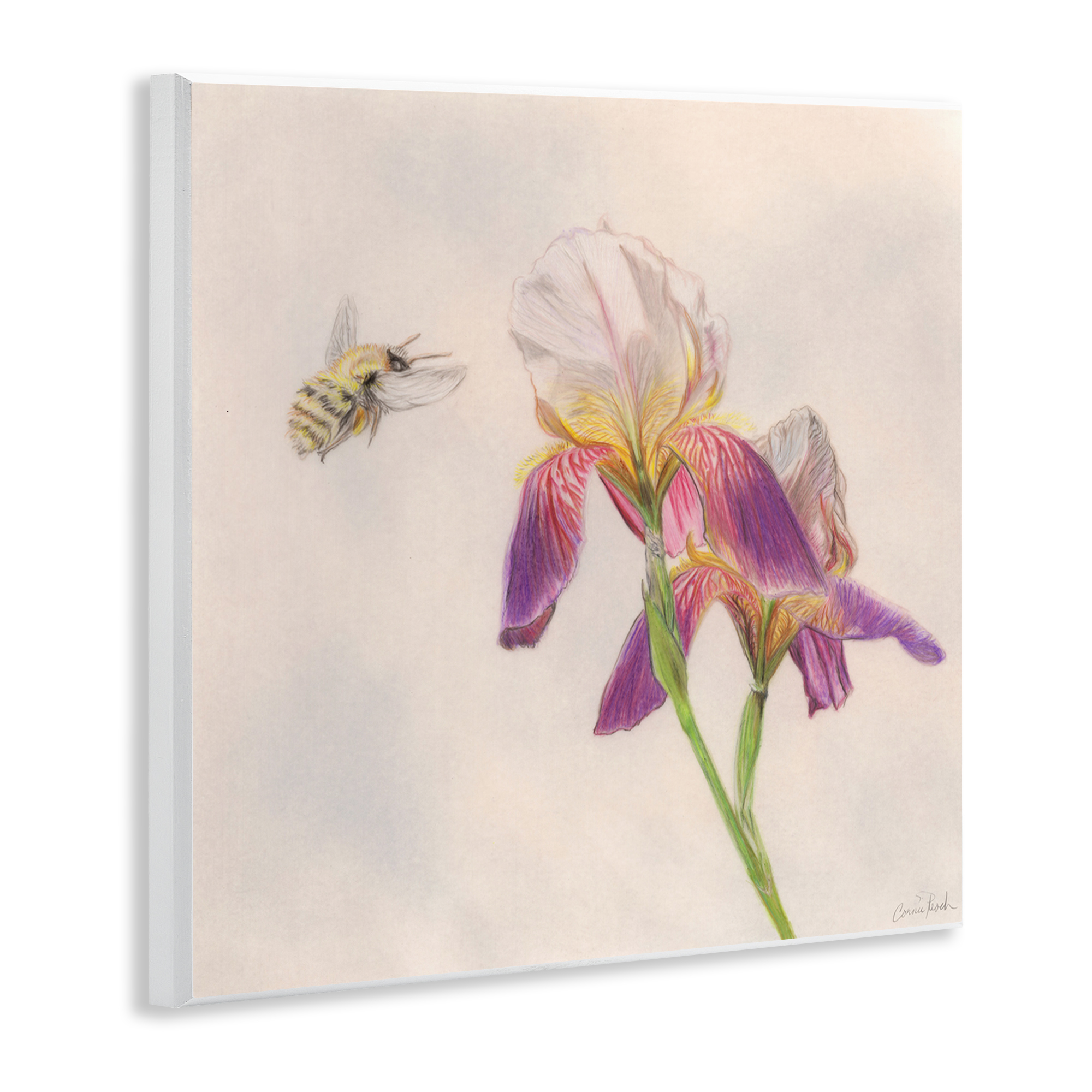 Stupell Industries Spring Offerings Bee Animals & Insects Painting Unframed Art Print Wall Art, 12 x 12
