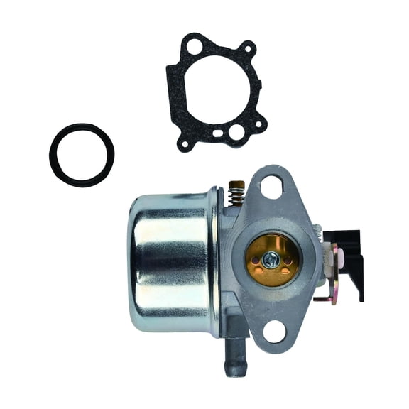 Carburetor Assembly Kit 494971 498965 493422 494216 698056 for Briggs and Stratton 122H02-0100-B1 122H02-0100-D1 122H02-0110-D1 122H02-0112-D1 122H02-0116-B1 122H02-0117-D1 Engine