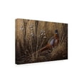 thumbnail image 3 of Trademark Fine Art Wilhelm Goebel Pheasant In The Grass Canvas Wall Art - 12x19, 3 of 5