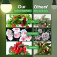 thumbnail image 3 of Bombilla LED de cultivo Briignite A19 de espectro completo, 11 W, paquete de 2, 3 of 8