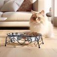 thumbnail image 5 of Pet Supplies Stainless Steel Double Feeding Bowl with Elevated Stand for Cats and Small Dogs Feeding Station, 5 of 8