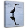 thumbnail image 1 of Lee Peterson 17x24 Gallery Wrapped Canvas Wall Art Titled - Bird IV, 1 of 4