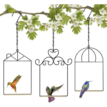 Metal Frame Hummingbird Swings and Perches with Wooden Dowel Black Bird Swing Outdoor Bird Perch Humming Bird Swing (3PK Different)