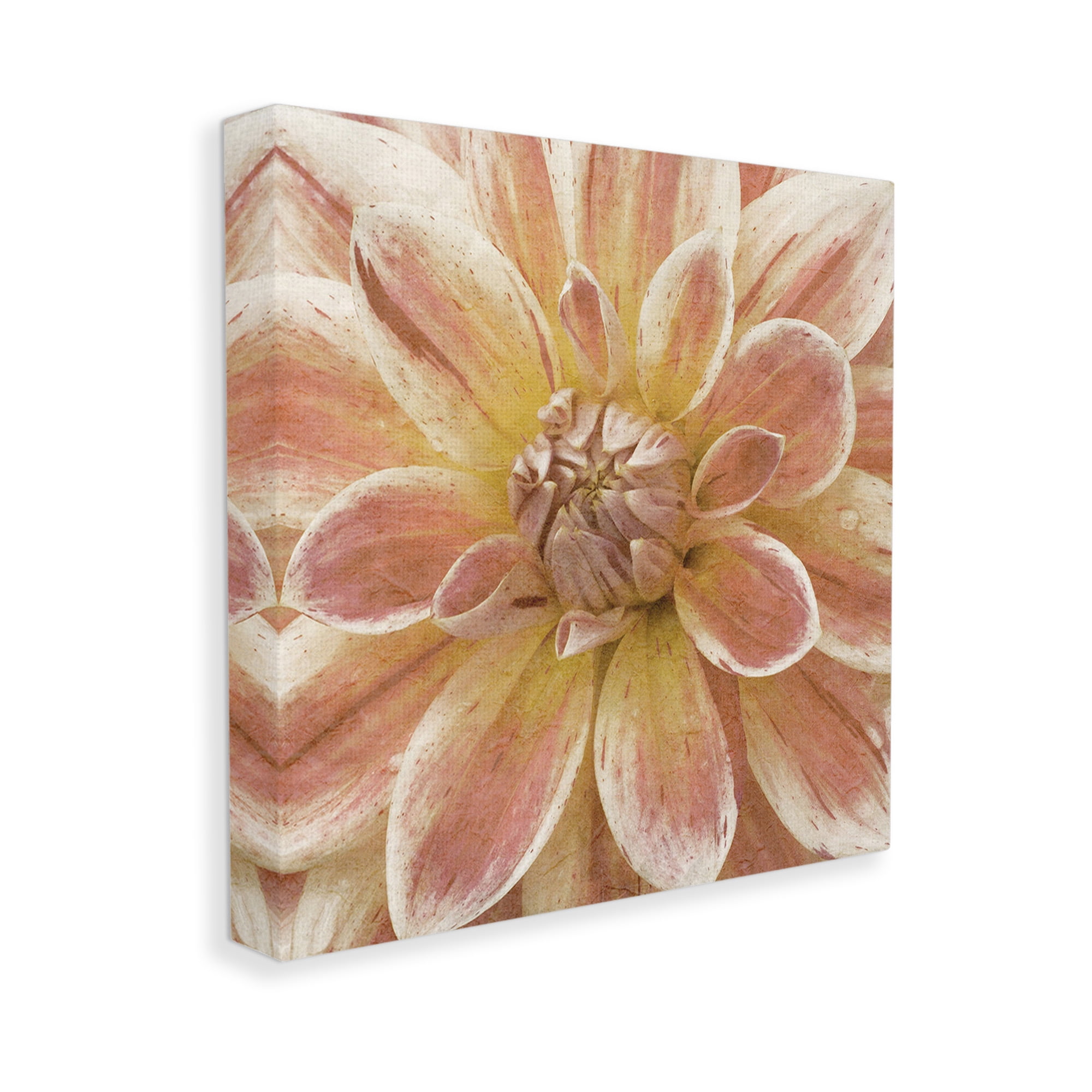 Stupell Industries Blooming Petals Close Up Botanical & Floral Painting Gallery Wrapped Canvas Art Print Wall Art, 30 x 30