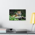 thumbnail image 4 of Majestic Tiger Art Majestic Tiger Print Animal Wall Art Wildlife Canvas Prints Wall Art Ready to Hang Unframed, 4 of 18