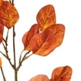 thumbnail image 2 of Vickerman 32" Rust Orange Artificial Silver Dollar Eucalyptus Leaf Spray, 3 per bag., 2 of 5