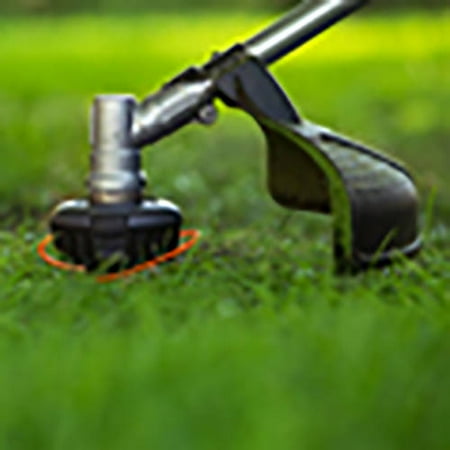 Snapper Straight Shaft Gas Trimmer/Brush Cutter, Red ...