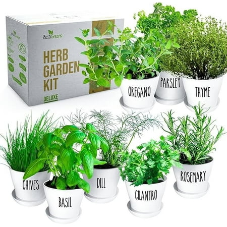 Deluxe Herb Garden Kit - 8 Variety Herbs for Indoor & Outdoor – Get Growing with Pots, Potting Soil for Window Herb Garden. (8 Set Deluxe herb kit)