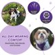 thumbnail image 2 of Lukovee Arn¨¦s para Perro, Arneses Sencillos para Perros con Correa de Conector, Multifunci¨®n Cintur¨®n de Seguridad Ajustable para Mascotas, Doble Tejido de Malla Transpirable, para Perro Peque?o Me, 2 of 5