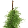 thumbnail image 5 of Northlight Real Touch™️ Cedar Artificial Christmas Garland - 5' x 8" - Unlit, 5 of 5