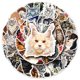 thumbnail image 1 of Pegatinas de vinilo Maine Coon con diseño de grafiti, resistentes al agua, 50 unidades, 1 of 5