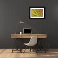 thumbnail image 3 of Paulson, Don 24x17 Black Ornate Wood Framed with Double Matting Museum Art Print Titled - Close-up of vein pattern on maple leaf, 3 of 4