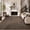 Boho-Black&Brown, variant on SIXHOME 8'x10' Rugs for Living Room Washable Bedroom Rug Jacquard Textured Boho Beige Area Rug Modern Geometric Soft Neutral Carpet Non Slip Indoor Rugs for Dining Room Home Office