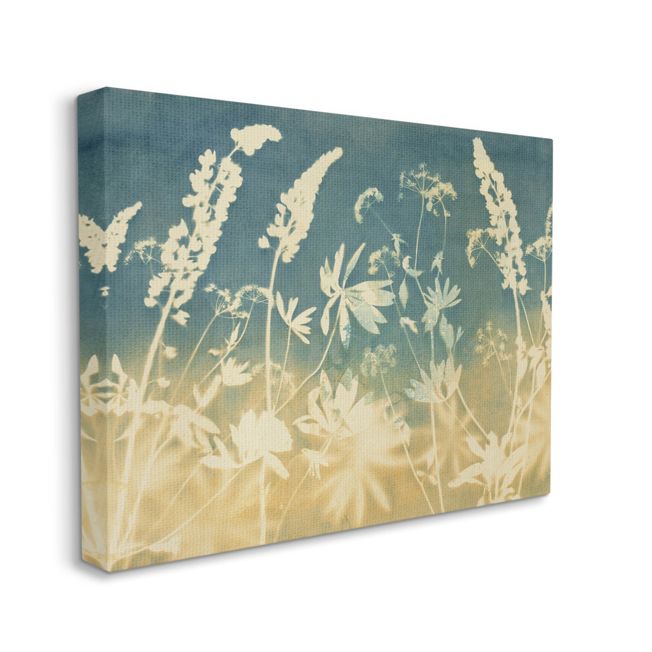 Stupell Industries Modern Flower Meadow Botanicals Graphic Art Gallery Wrapped Canvas Print Wall Art, Design by Liz St. Andre