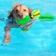 thumbnail image 3 of 1 Uds. Pelota de goma Natural para mascotas, juguetes vocalizadores para perros, perros grandes, resistente a mordeduras, limpieza de dientes, masticación, molienda de dientes, suministros para m, 3 of 5