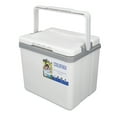 thumbnail image 1 of Nevera Portátil Aislada, Fiambrera Rígida con Asa Para Camping, Playa, Picnic, Comestibles, Paseos en Bote, Gran Capacidad 6L, Mantiene los Alimentos Frescos, A Prueba de Fugas, 1 of 7