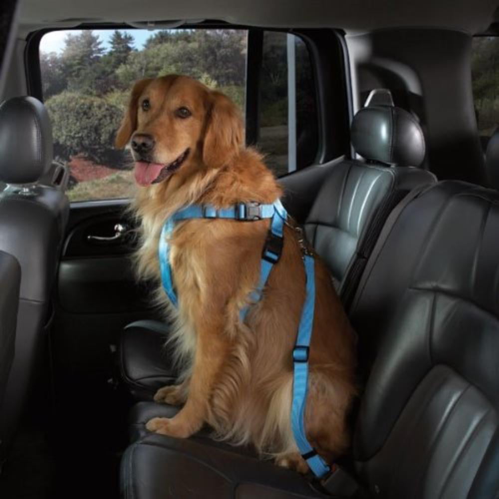 Nylon Dog Car Harness, Small-Medium, Pink, Keeps pets safe ...