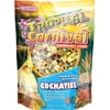 Tropical Carnival Food