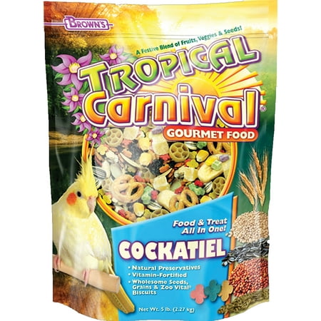 Tropical Carnival Food