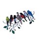 thumbnail image 3 of Colgante de Acrílico Yuarrent 7 Aves, 3 of 6