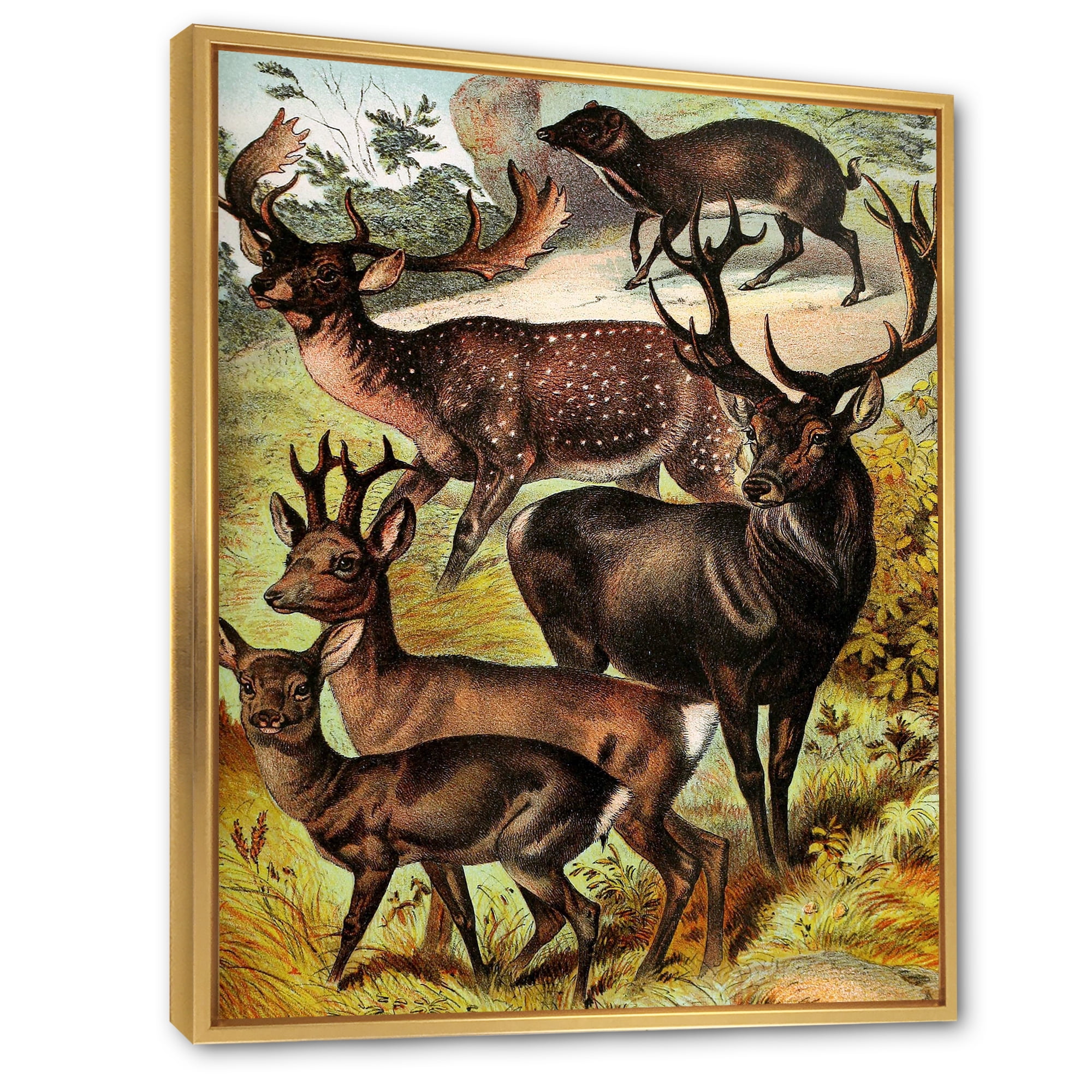 Designart 'Old-world Mammals I' Farmhouse Framed Canvas Wall Art Print