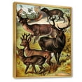thumbnail image 3 of Designart 'Old-world Mammals I' Farmhouse Framed Canvas Wall Art Print, 3 of 5