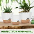thumbnail image 3 of West Bay 12" 10" 9" Large Self Watering Plant Pots, 3 Pack Flower Pots Planters with Multi Mesh Drainage Holes for Indoor Outdoor Garden Plants and Flowers (White), 3 of 8
