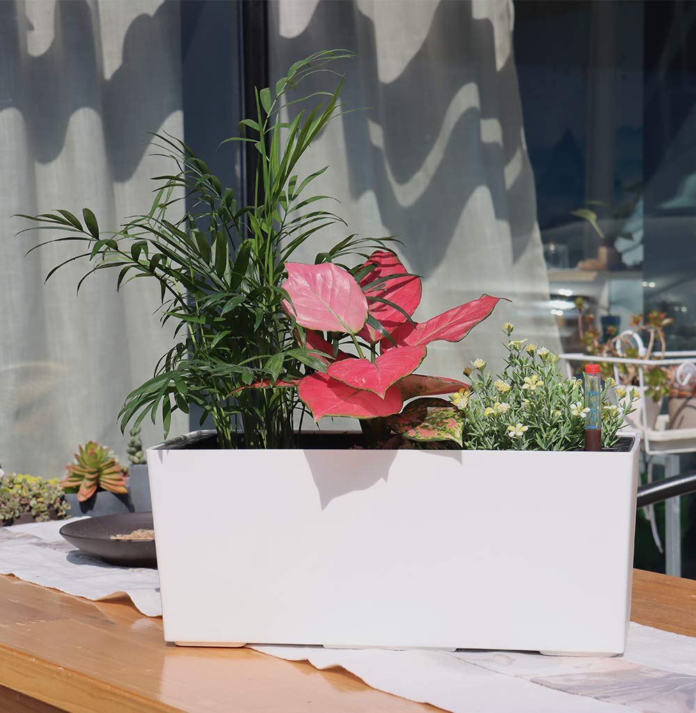 14 Inch Self Watering Planter Pot with Water Level Indicator, Rectangular Matte Plastic Window Box for Indoor Outdoor Herbs Succulents Flowers
