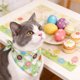 thumbnail image 1 of Bufanda triangular con estampado de conejito de Pascua, babero navideño de gatos y perros, ideal para accesorios fotográficos de fiesta de Pascua y decoraciones navideñas. Bufanda triangular de poliés, 1 of 6