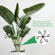 thumbnail image 5 of Uxcell 4pcs Soporte para Tallo de Planta 4 Tamaños Soportes para Plantas Trepadoras Reutilizables para Jardín Interior y Exterior, Negro, 5 of 6