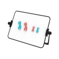 thumbnail image 2 of Milaget Kit de Modèle de Changement de Chromosome de Méiose, Science Biologique, Réutilisable avec Support, Rouge et Bleu, 2 of 9