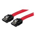 thumbnail image 1 of StarTech.com Câble SATA 12 Po - Câble SATA - Série ATA 150/300/600 - SATA (R) à SATA (R) - 1 Pi - Verrouillé - Rouge - LSATA12 - Câble SATA - Série ATA 150/300/600 - SATA (R) à SATA (R) - 1 Pi - Verrouillé - Rouge - pour P/N : Carte SATA 10p6g, Carte SATA 2p6g, Carte SATA 4p6g, 1 of 3