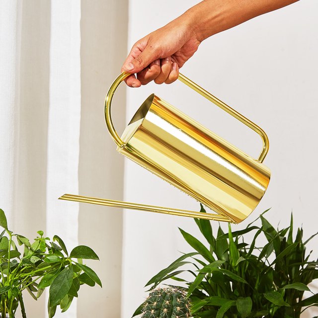 Regadera para Plantas 1500 Ml Práctica Gran Capacidad Acero Inoxidable Regadera Olla Portátil Caño Largo Plantas Regadera Jardín Suministros de Riego ANGGREK Otros