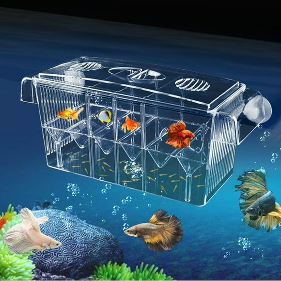 4 Pcs Boîte d'Élevage de Poissons HD, Boîte d'Aquarium, Boîte d'Élevage pour Aquarium, Boîte d'Isolation pour Incubateur à Double Éclosion pour Bébé Guppy