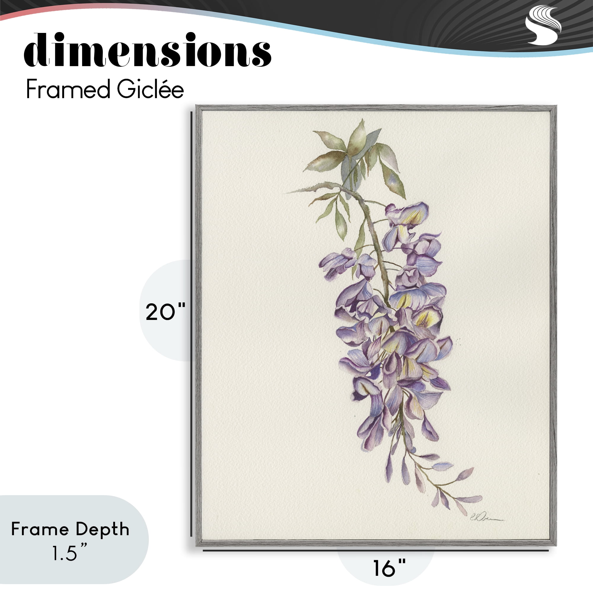 Stupell Industries Delicate Hyacinths Study Gray Framed Giclee Art, design by Cady Driver