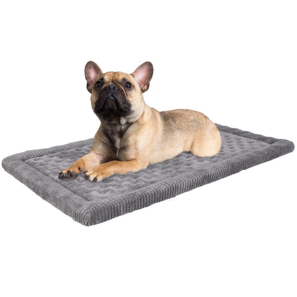 PAGGED Dog Crate Pad 30x19 inch, Gray Memory Foam Kennel Bed for Small