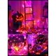 thumbnail image 5 of Cadena de luces Minetom para exteriores, 12 m, 100 LED, impermeables, 110 V, 5 of 7