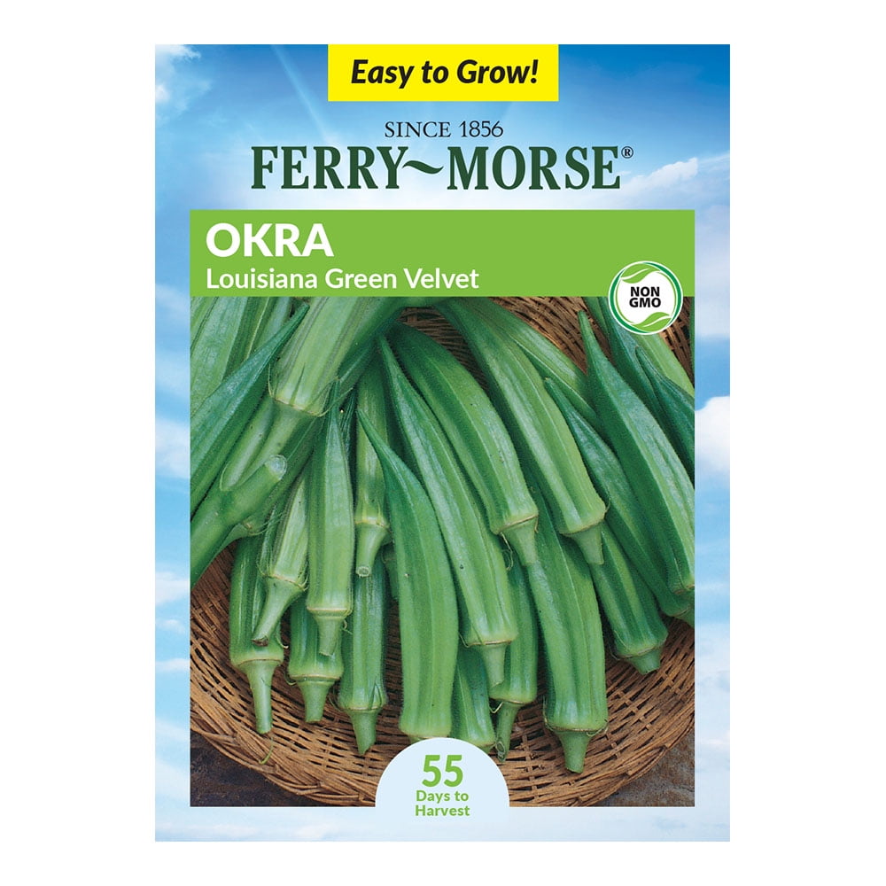Ferry-Morse 3.3G Okra Louisiana Green Velvet Vegetable Plant (1 Pack)- Seed Gardening, Full Sunlight