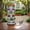 Agreeable Gray, variant on Active Mind Ltd Vertical Garden Planter Tower - 3-Tier Stackable Flower Pots for Small Spaces, Indoor/Outdoor Use, Plastic Container with Drainage Holes for Herbs & Succulents (Red)