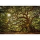 thumbnail image 1 of Pintura de diamante (DE1678) Kit de paisaje de bosque de árbol de dibujo cuadrado DIY 20X30cm FLhrweasw Nuevo, 1 of 1
