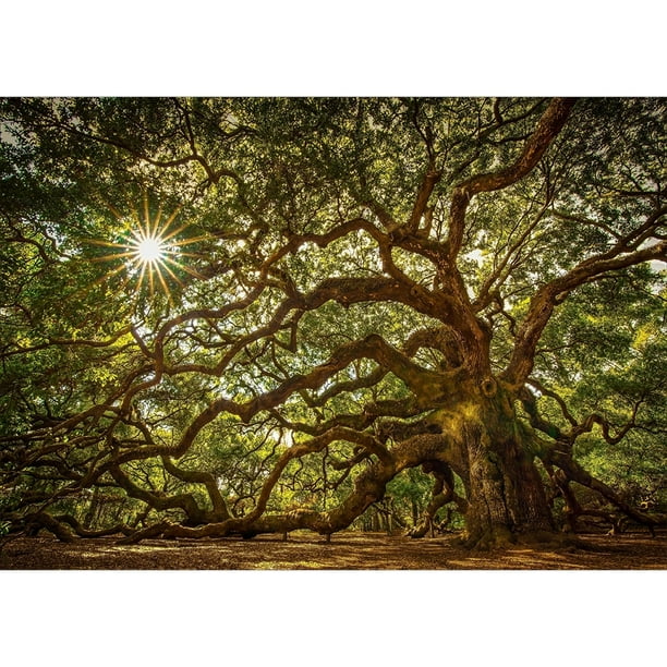 Pintura de diamante (DE1678) Kit de paisaje de bosque de árbol de dibujo cuadrado DIY 20X30cm FLhrweasw Nuevo