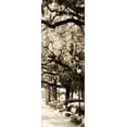 thumbnail image 2 of Hausenflock, Alan 11x24 Gold Ornate Wood Framed with Double Matting Museum Art Print Titled - Savannah in Sepia I, 2 of 4