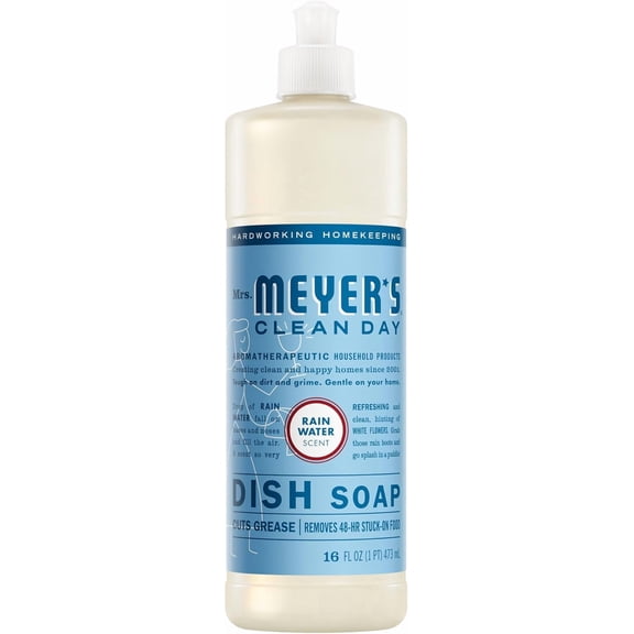 CLEAN DAY Liquid Dish Soap, Rain Water, 16 fl. oz
