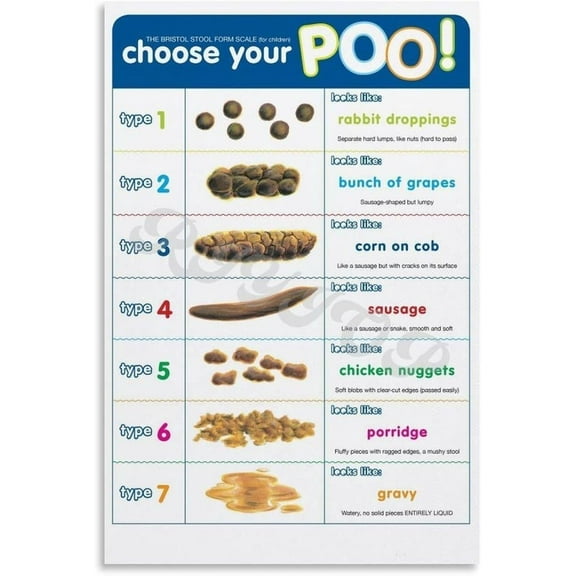 Poop Chart Bristol Stool Poster Wall Art for Classroom Educational Posters Decor, Home Living Room Decor