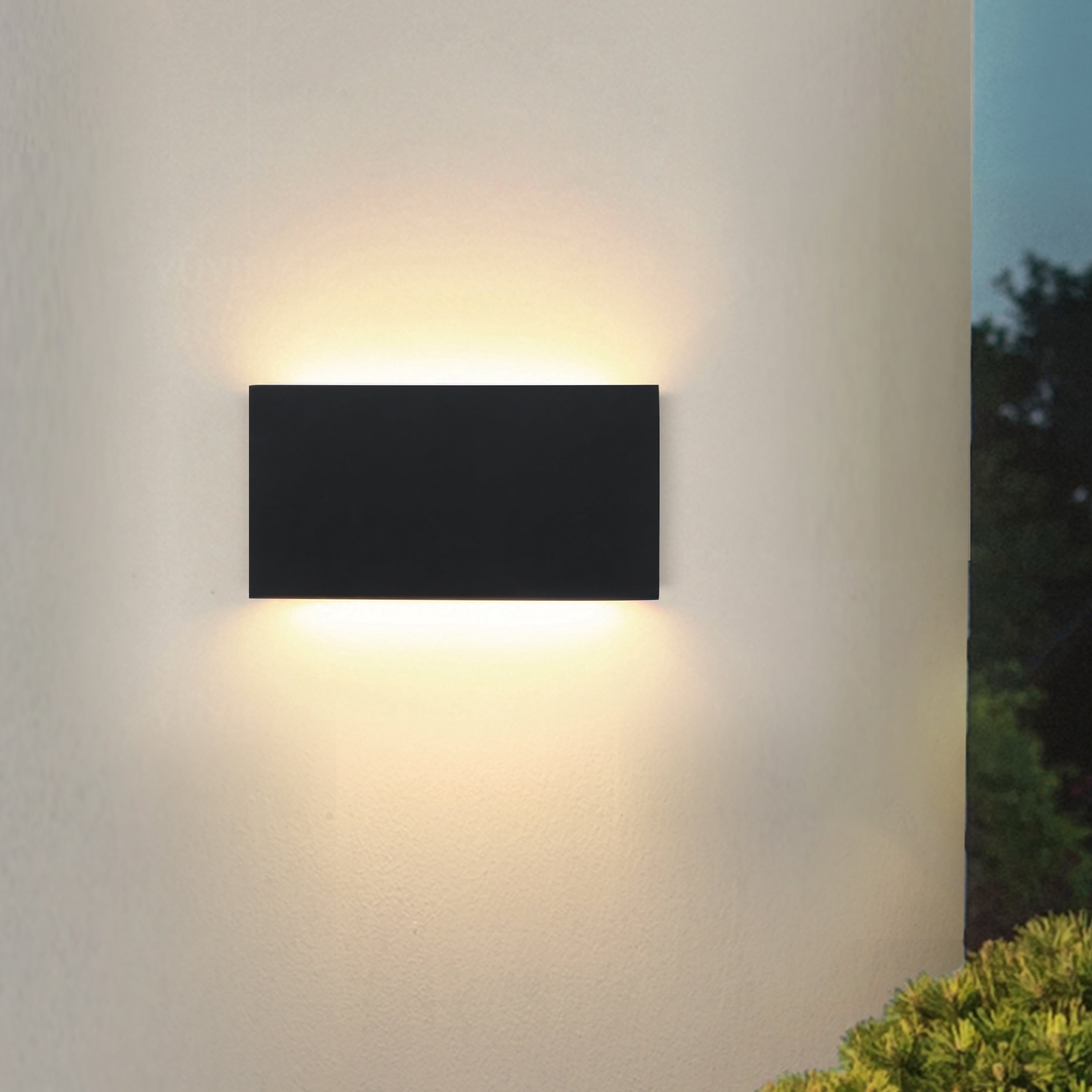 C Cattleya 2-Light Matte Black Aluminum Integrated LED Outdoor/Indoor Wall Light